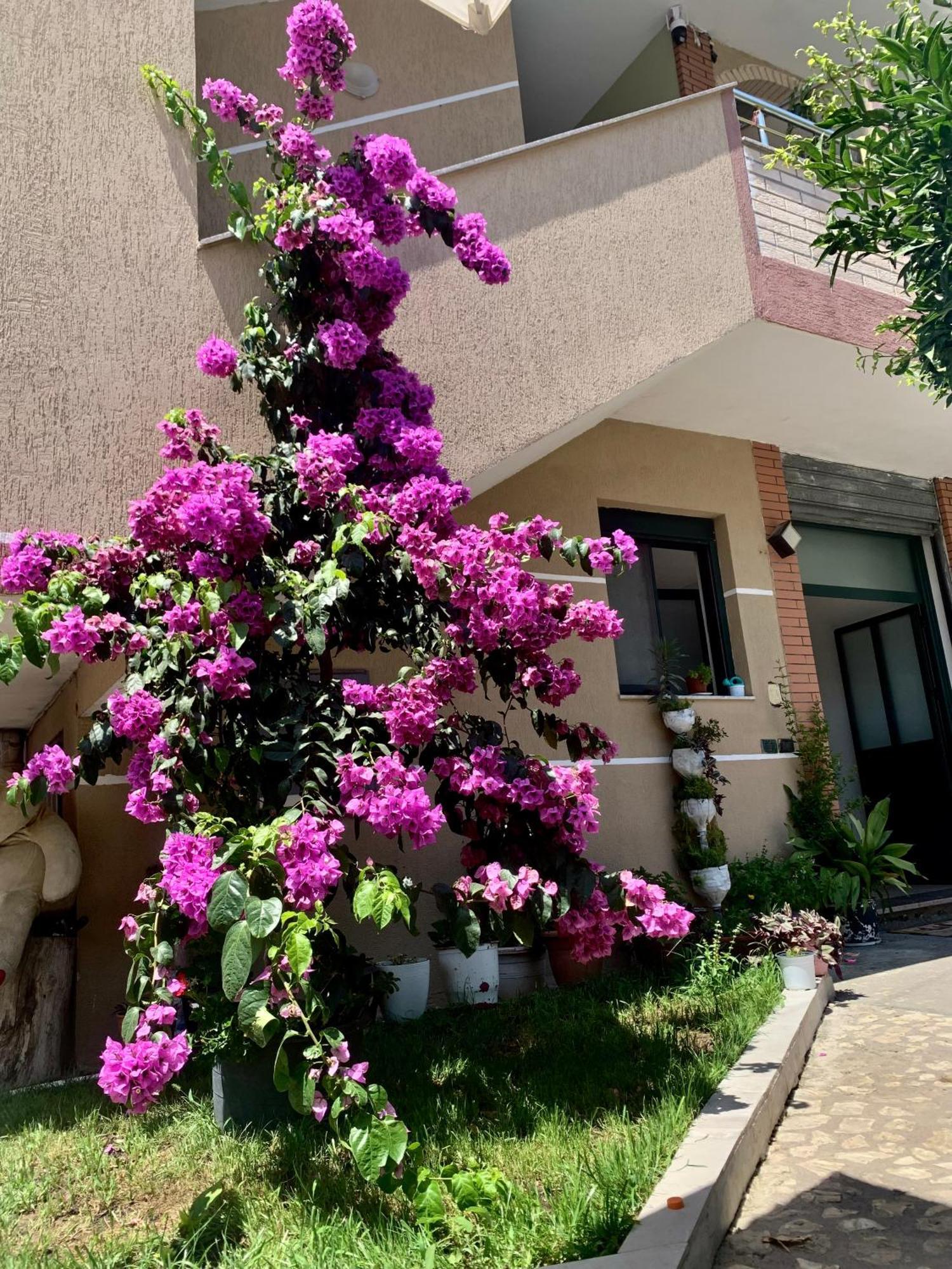 Serenade Beach Durrës Exterior foto